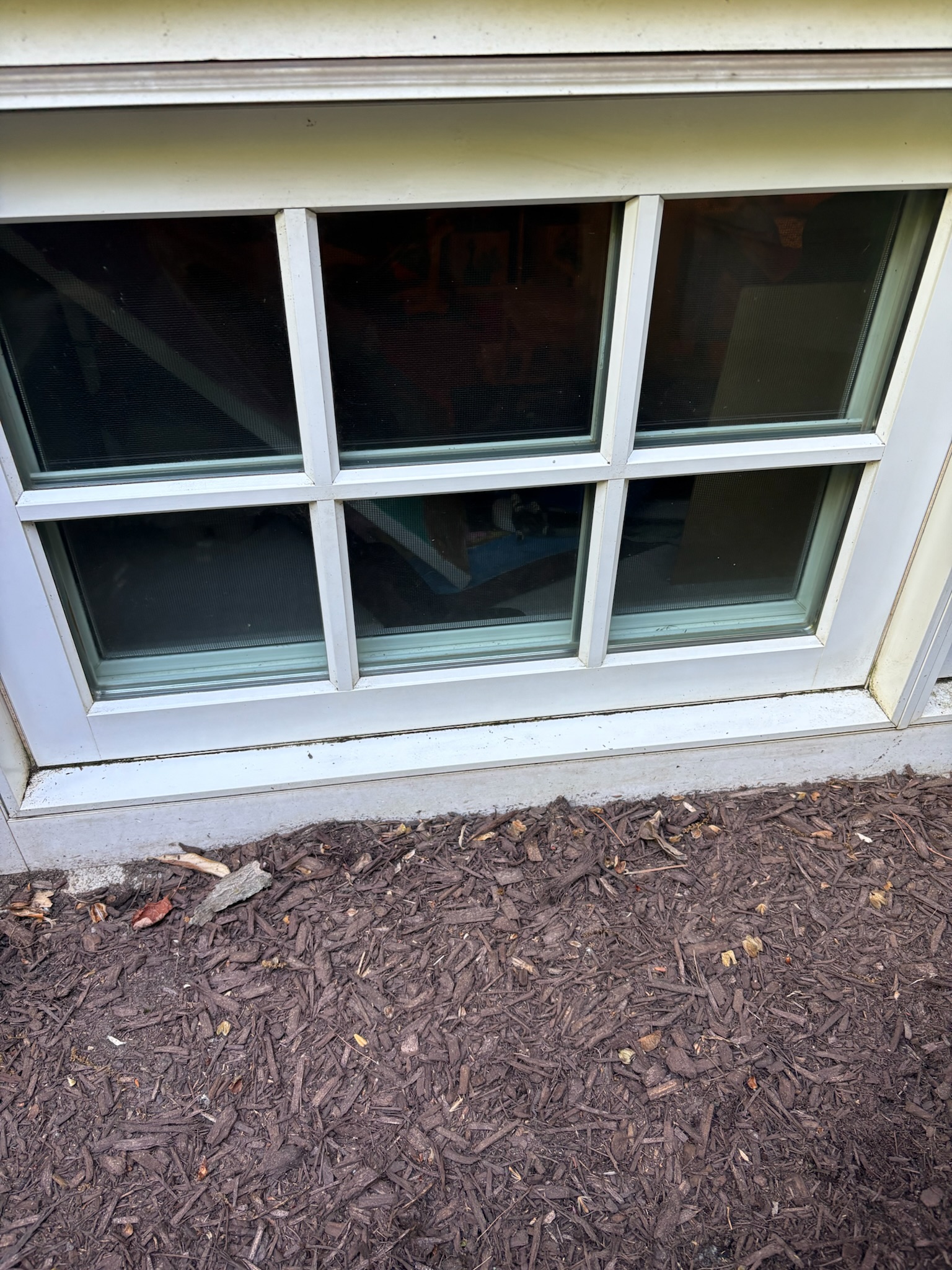 Exterior siding after pressure wash.