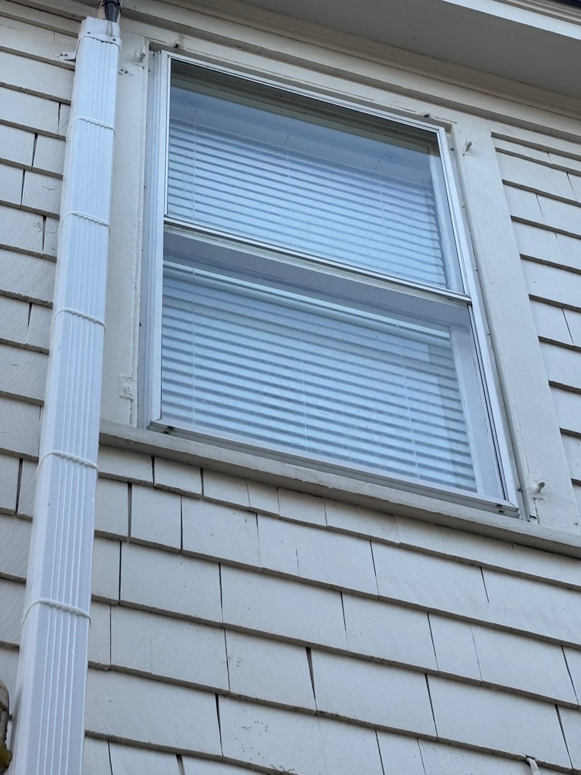 House siding after wash.