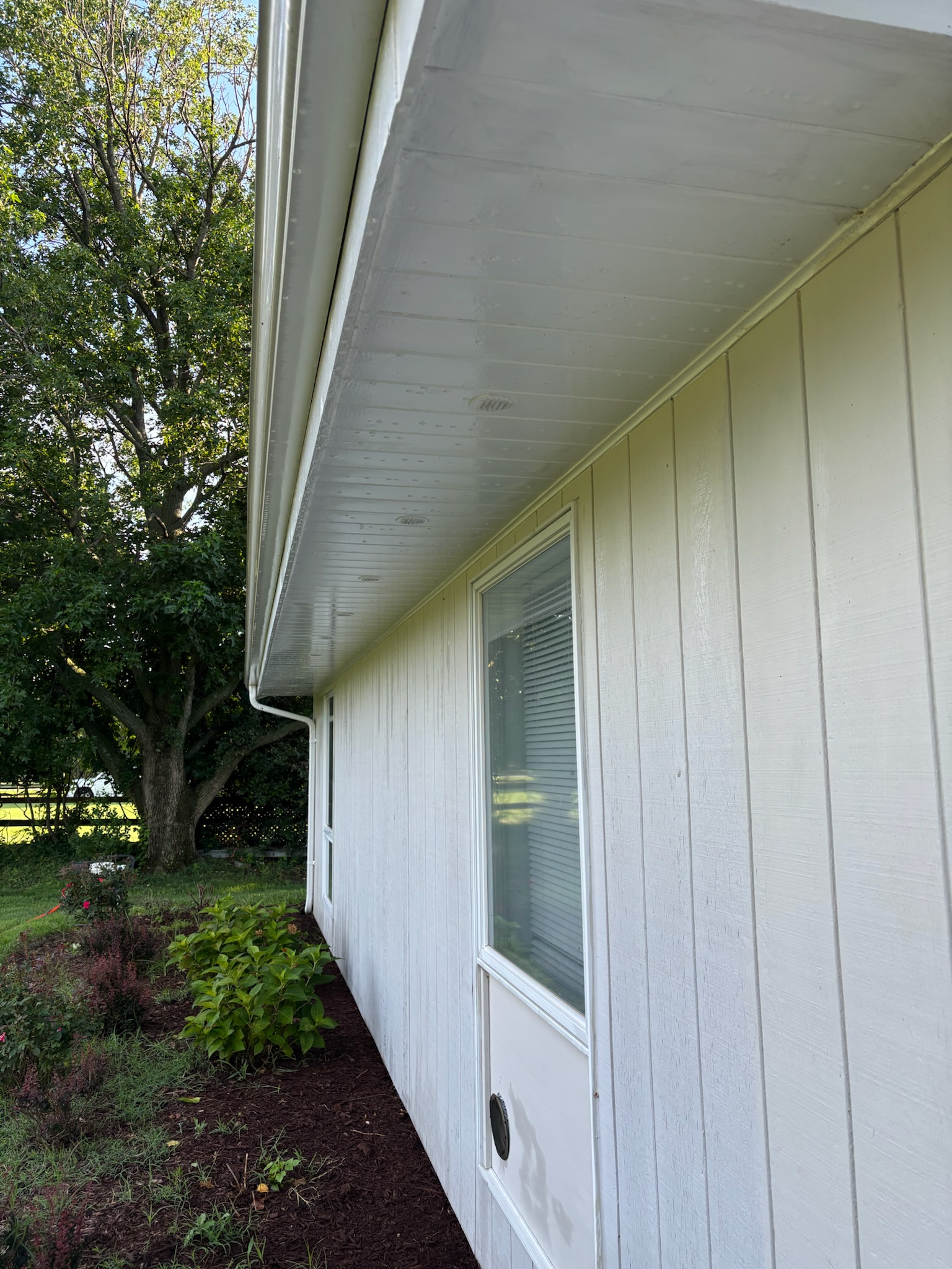 Wall and siding cleaning.