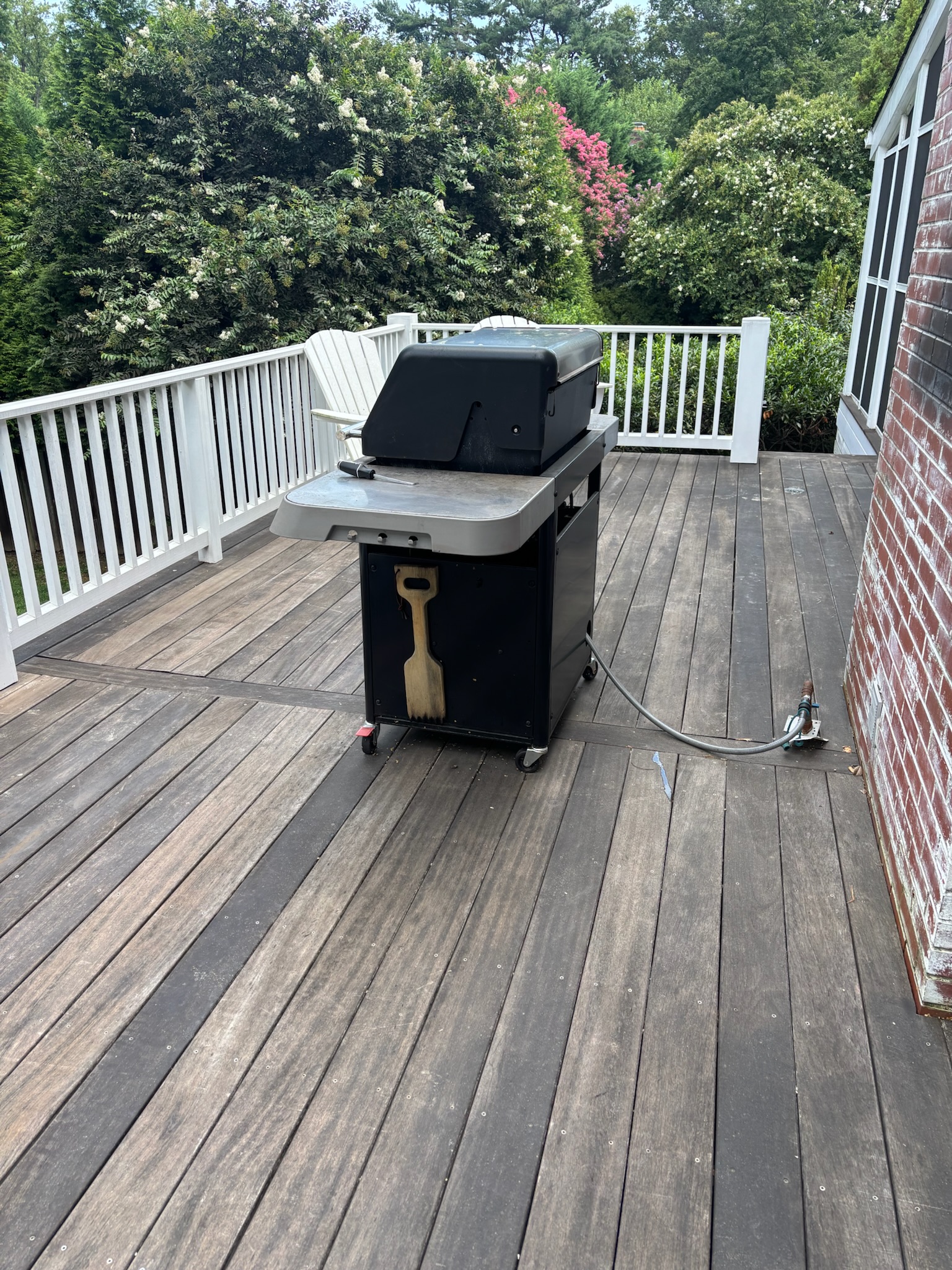 Walkway and driveway cleaning.