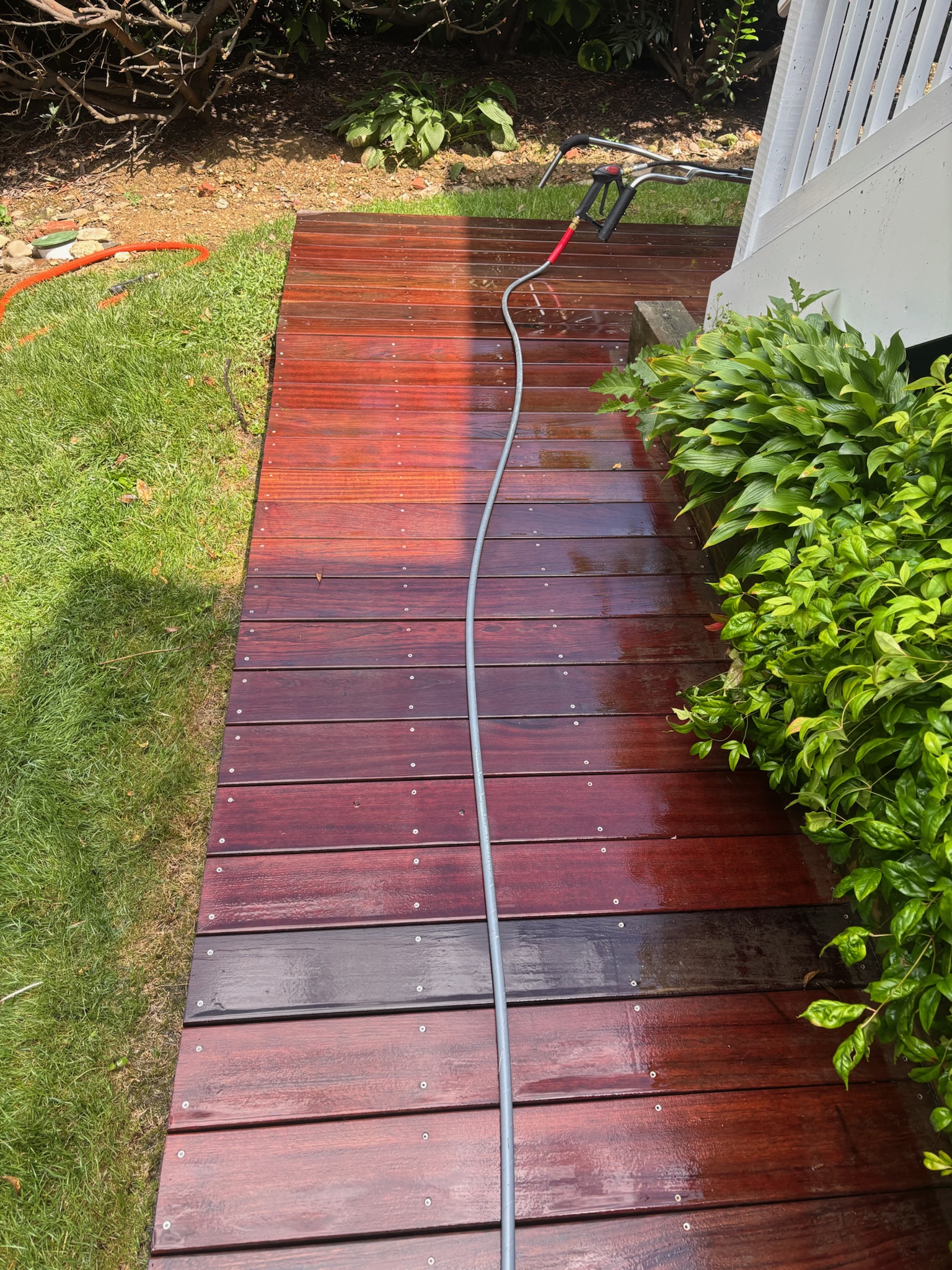Brick walkway cleaning.