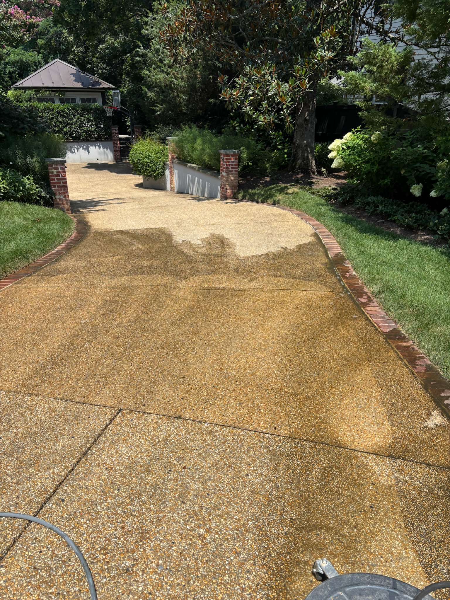 Concrete driveway cleaning.