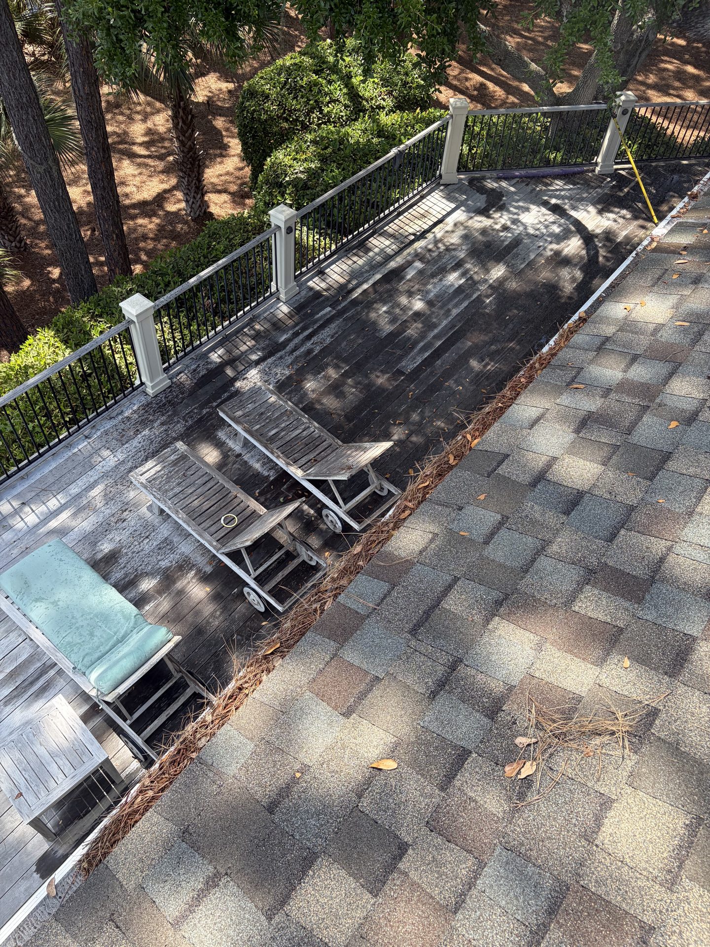 Charleston gutter line packed with pine straw and roof debris before cleaning