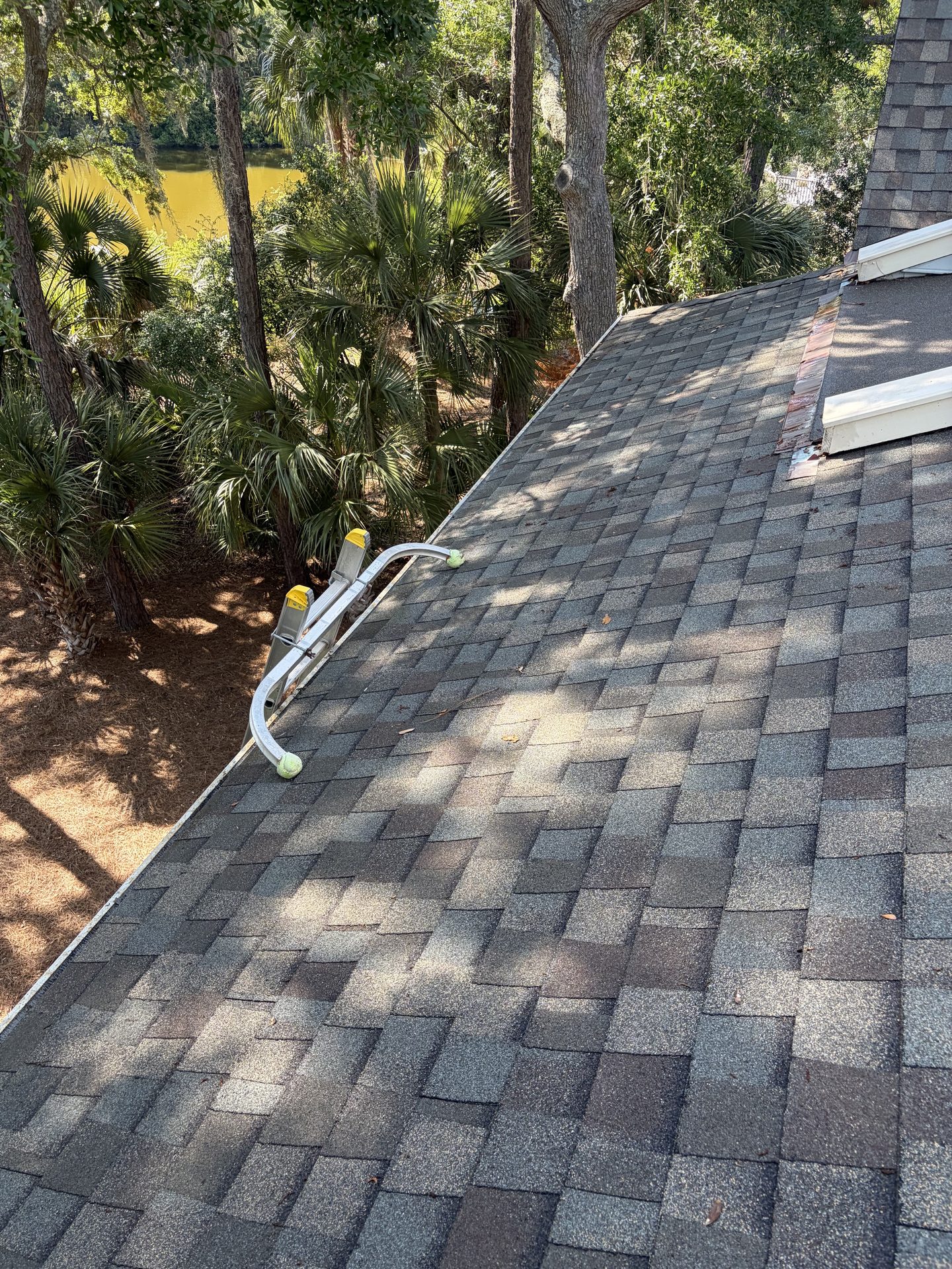 Asphalt shingle roof and downspout on a Charleston home after roof cleaning