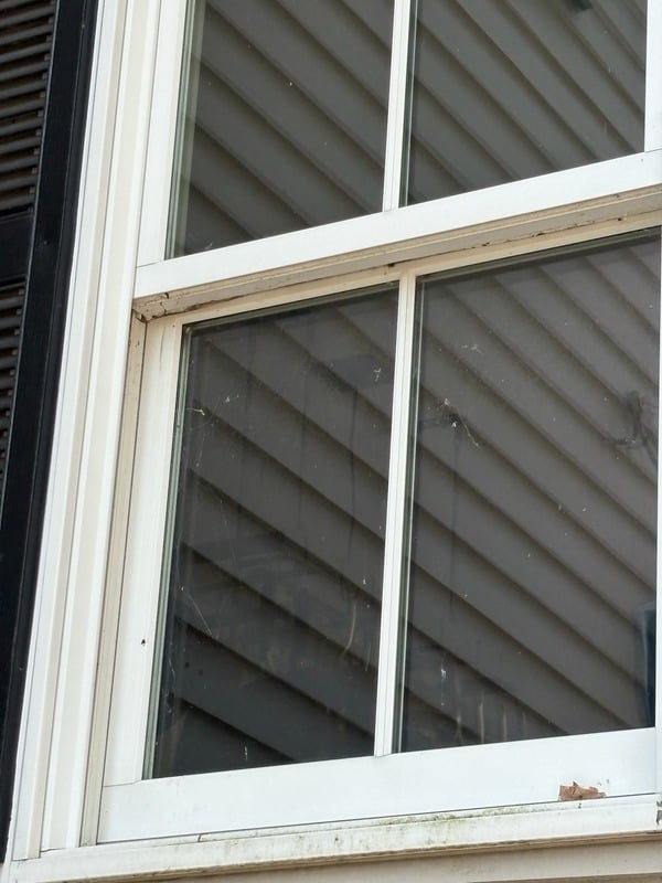 House exterior after soft washing